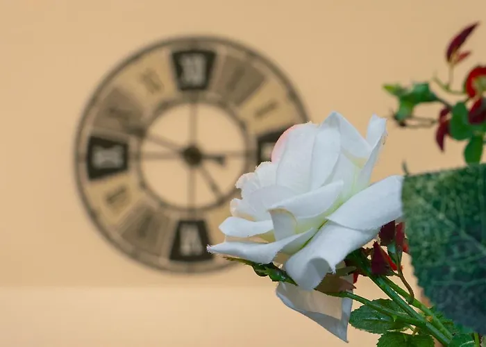 Time For Your Holidays Специя